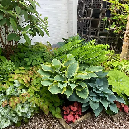 Проживание в семье Cozy Schladern