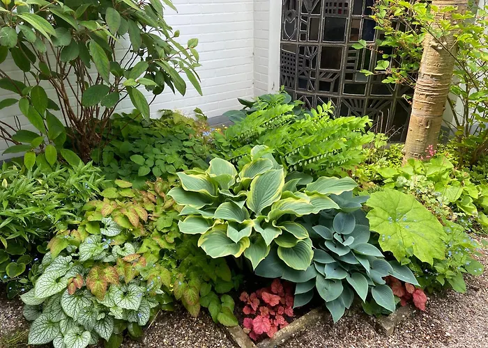 منزل للإقامة Cozy Schladern